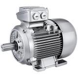 Electric motor
